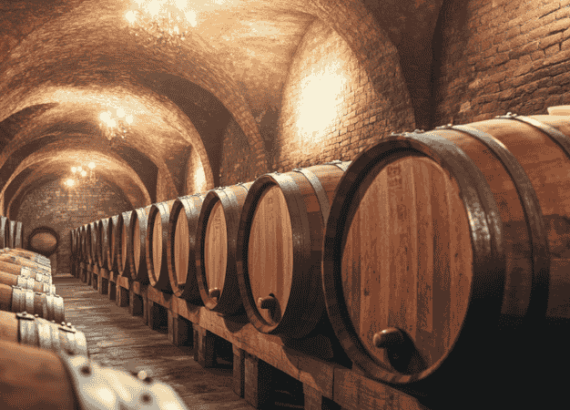 Wein trocken oder halbtrocken – Unterschiede leicht erklärt